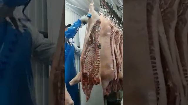 Шкуросъемная машина Jarvis