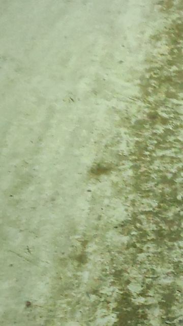 Самая быстрая продажа авто. 30 минут.... смотреть онлайн