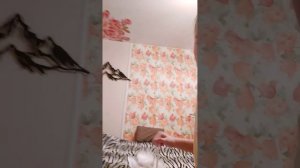 Туториал на квадробику, прыжки, ходьбы #квадробика