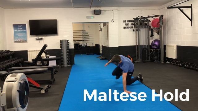 Maltese Hold смотреть онлайн