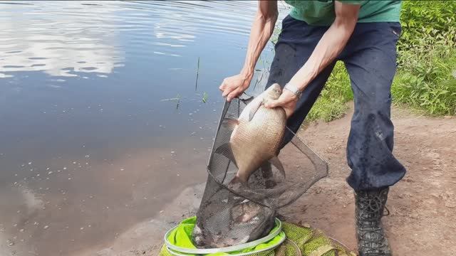Отличная получилась рыбалка на р. Клязьма . смотреть онлайн