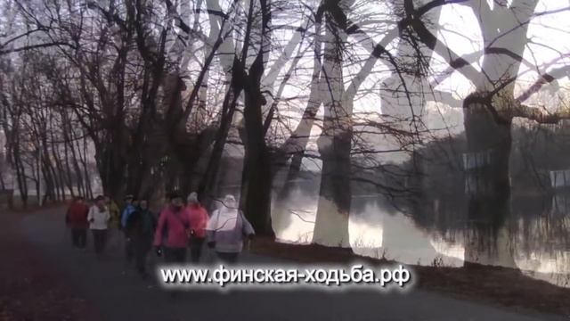 Здравствуй утро! Скандинавская ходьба на Елагином, Санкт-Петербург, 13 декабря 2015 года. смотреть онлайн