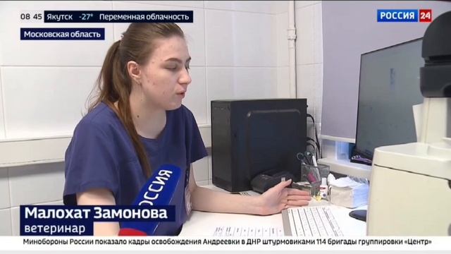 Владельцев нечипированных собак в Подмосковье начнут штрафовать