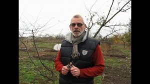 Весенние прививки. Что важно знать