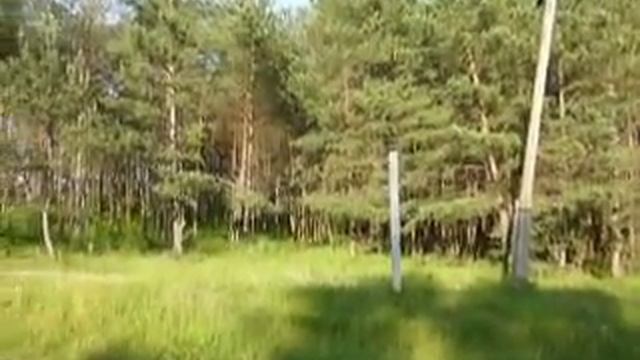 Злазне, Ровенская область, Украина
