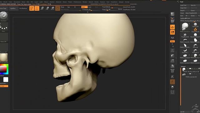 Zbrush Skull Timelapse смотреть онлайн