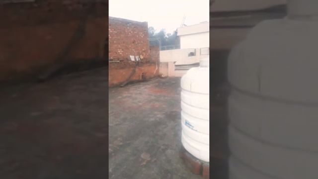 Happy lohri 13.1.2020 Tarn Taran смотреть онлайн