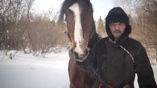 Хелависа Бродяга