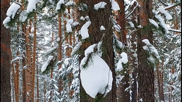 Игорь Северянин  Письмо #стихиовойне#поэтыСеребряноговека