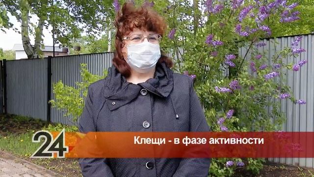 Клещи активизировались: с начала весны от укусов пострадали более ста альметьевцев смотреть онлайн