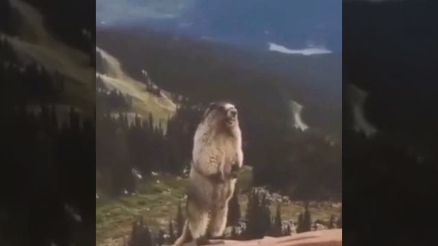 Не надо кричать пожалуйста смотреть онлайн