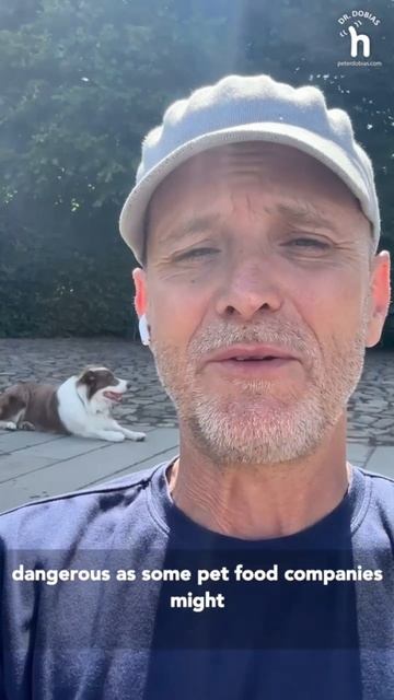 Boost Your Dog's Health: Pumpkin Seeds as a Nutritious Food Topper смотреть онлайн