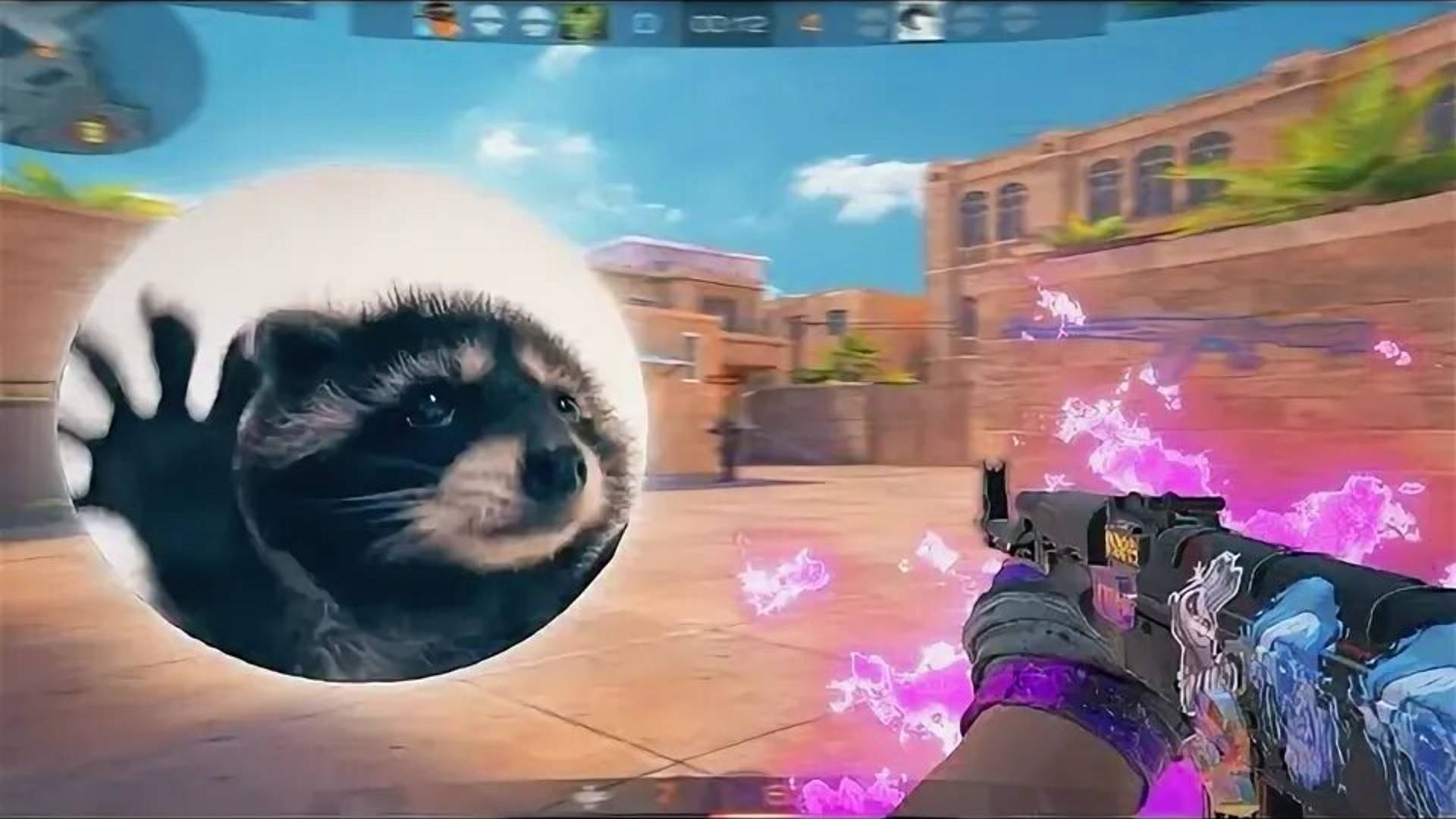 PEDRO PEDRO PEDRO!❤