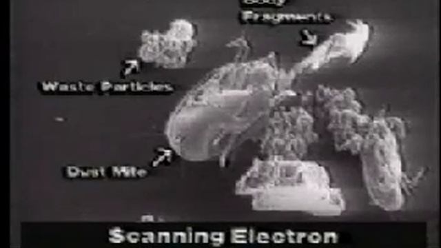 Second Wind Air Purifiers - Dust Mites смотреть онлайн
