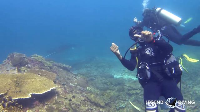 Diving "Manta Point", Nusa Penida, Bali, Indonesia смотреть онлайн
