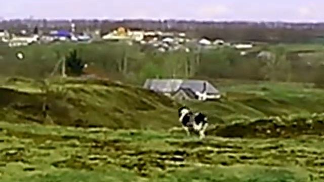 Бэха и Ойгуль смотреть онлайн