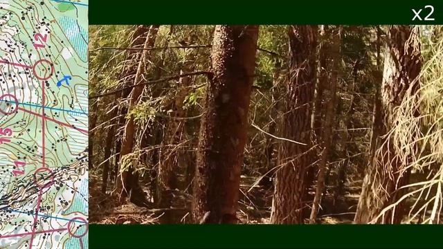 Headcam Orienteering #036 Спортивное ориентирование - ККП-2022 М35 - 5.2 км. 2022.06.13