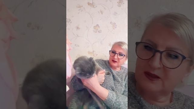 🔴СТРИМ , ТИК ТОК🔴 смотреть онлайн