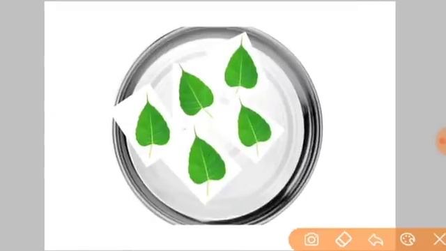 कैसा भी दर्द हो शरीर में मात्र 15 मिनट के अंदर होगा गायब | pain relief upay | pradeep Mishra ji смотреть онлайн