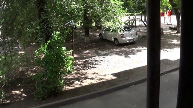 31 июля 2021 года - собака на детской площадке