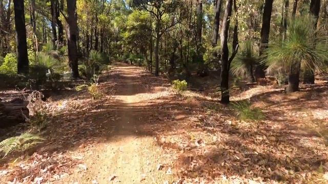 Bikepacking The Munda Biddi Trail Day 3 смотреть онлайн