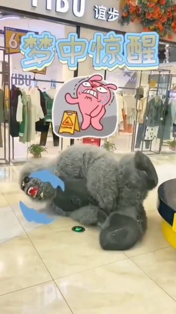 ❤️🐼panda funny || panda comedy || #viral #shorts #panda #funny #comedy #youtubeshorts #youtube смотреть онлайн