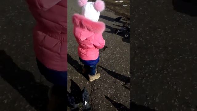 Ариана и голуби. Часть 2 смотреть онлайн