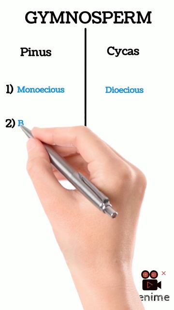 Easy trick to learn kingdom plantae examples #shorts #youtubeshorts #neet #youtube #viral #short смотреть онлайн