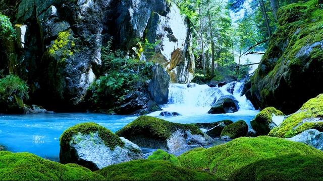 ASMR Forest Waterfall 3 in 4K ( Immersive Experience 8D Pure Nature Soundscape ) HD Audio смотреть онлайн