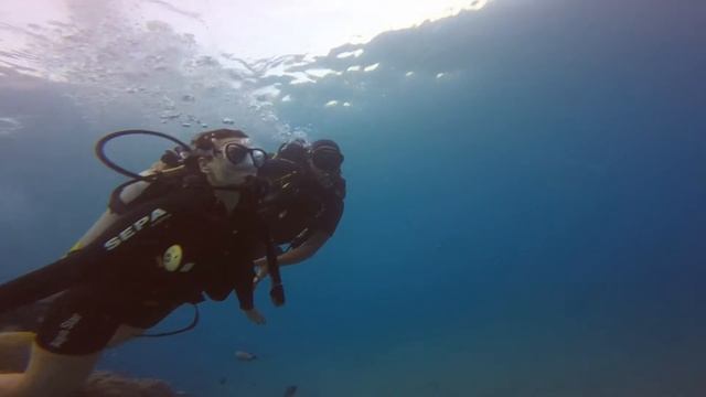 Дайвинг в Эйлате. Eilat 31 10 2014 смотреть онлайн