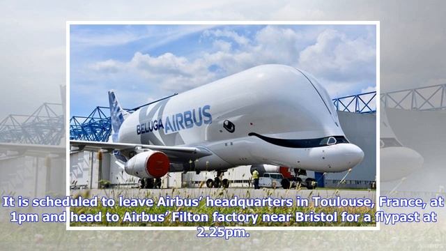 Police warn aviation fans 'to be considerate' ahead of Beluga XL landing смотреть онлайн