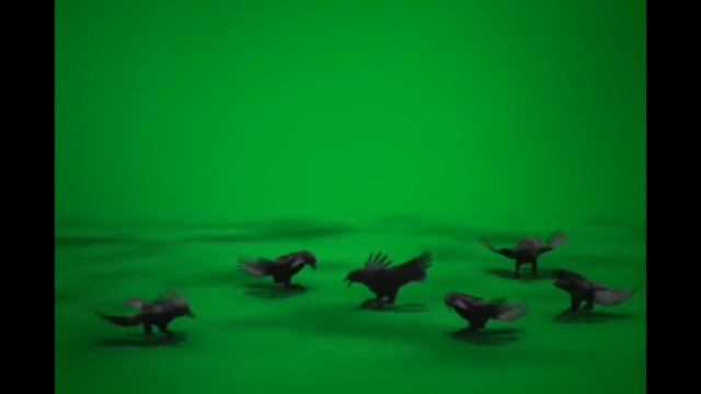 Вороны футаж green screen скачать смотреть онлайн