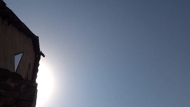 22 августа николаевские голуби все дома смотреть онлайн