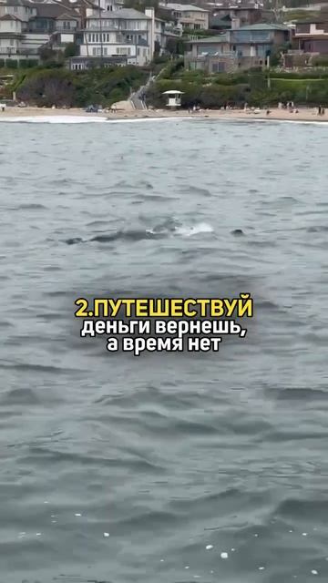 👇🏻 Правила, которые помогают мне жить счастливую жизнь смотреть онлайн