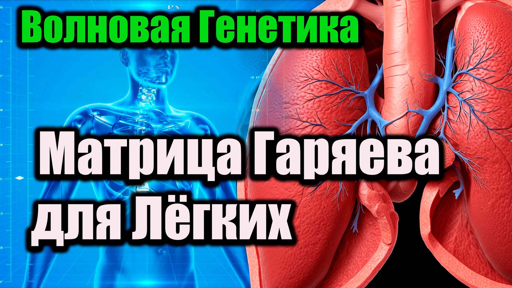 Матрица Гаряева для лёгких .Волновая генетика смотреть онлайн
