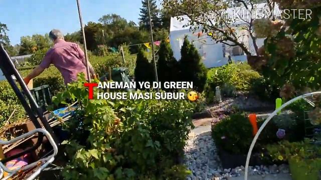 BEBERES KEBON YG MAO DI TUTUP смотреть онлайн