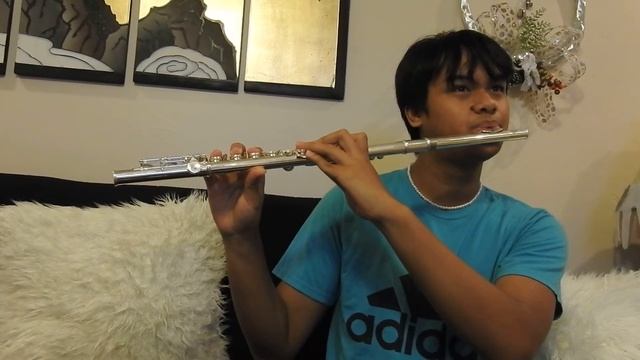 PINK PANTHER THEME SONG (flute cover) смотреть онлайн