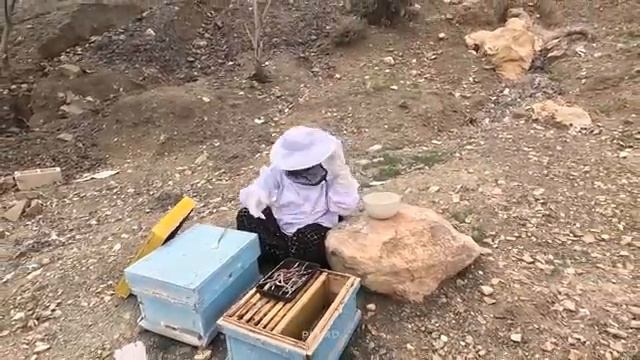 12.04.2024 От забот к мешкам с шерстью Мать-одиночка преодолевает Препятствия смотреть онлайн