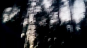 Mini-VLOG#2|охота за арбузами!| Кукуруза