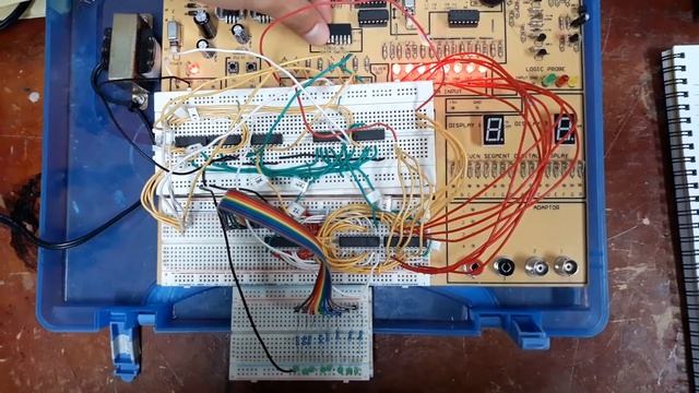 APHY 105 - CPU Simulation смотреть онлайн