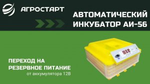 Инкубатор АИ-56. Агростарт