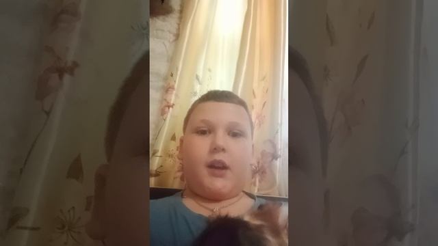 2 морская свин