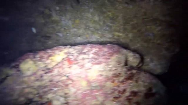 Diving Cyprus смотреть онлайн
