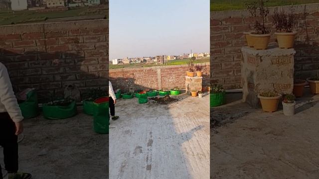 First time badminton playing with awesome activity #cuteboy#youtubshorts#trending #ytshorts#attitud смотреть онлайн