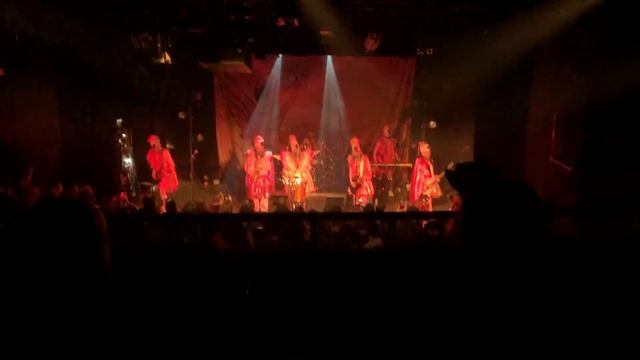 Trollfest   Dance Like a Pink Flamingo Studio TD 01 04 2024