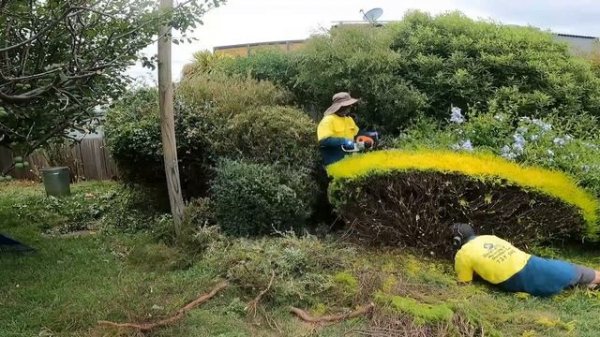 QC_ Смотрим как другие работают MASSIVE Garden Cleanup  Rental Property Renovation