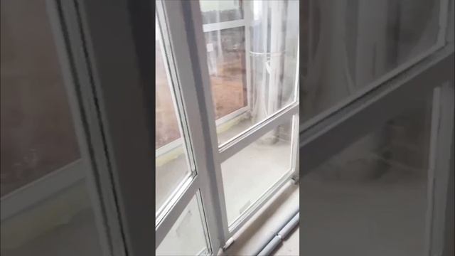 Обзор квартиры. Росинка