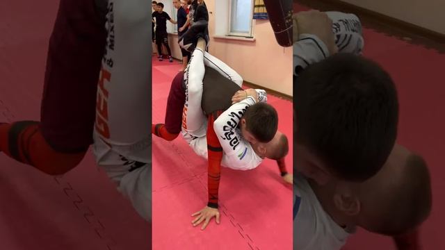 Семинар Академия боевых искусств смотреть онлайн