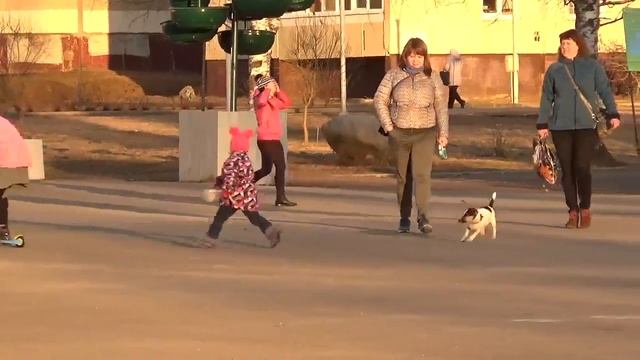 Парк Эрувиль Сен-Клер | PARK D`HEROUVILLE SAINT-CLAIR (г.Тихвин) смотреть онлайн