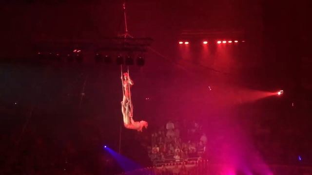 Харьковский цирк .Воздушная трапеция .